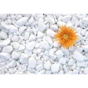 dekorativno kamenje za uređenje dvorišta